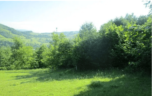 Bosnia Land
e property is located in Malesici near Sarajevo, Bosnia and Herzegovina. Land area is 17000 m2. On the land there are 4 buildings, out of which two houses. All papers have been legalized....