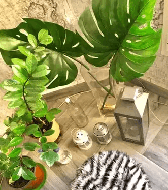 Various decorative items
A large glass vase with two artificial leaves 8 KD
2 real plants 3 KD
1 ottoman 2.5 KD
Water bottle and spray 1 KD
1 big size, 2 small size lanterns (including candles) 3,5 KD